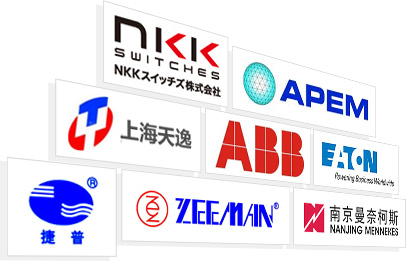邵陽市電機廠有限公司